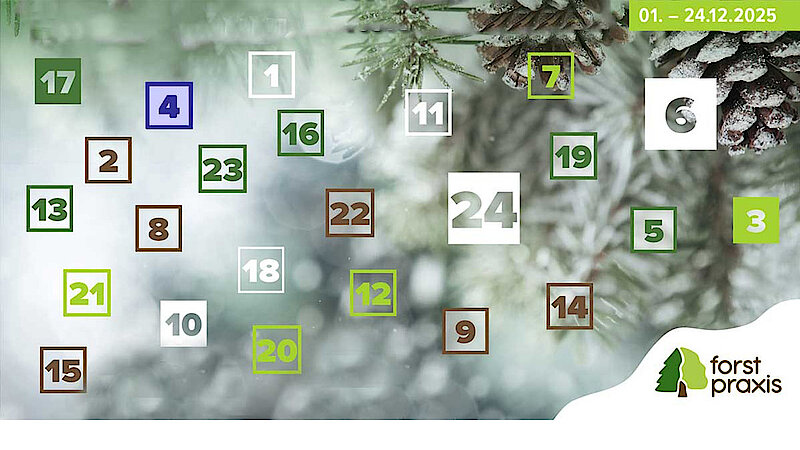 forstpraxis Adventsgewinnspiel 