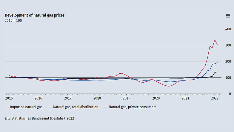 Figure 1: The price of gas has been rising since the middle of 2020 and more than tripled year-on-year at the start of 2022. Source: Federal Statistical Office (Statistisches Bundesamt)