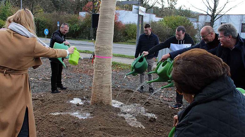 La plantación del castaño marca el comienzo del tiempo de convivencia del árbol y la empresa con una visión optimista del futuro.