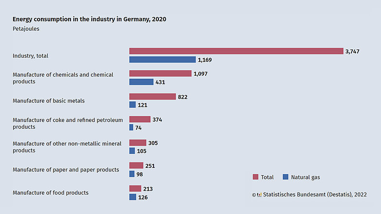 Figure 3: Natural gas continues to play an important role in a wide variety of industrial sectors and covers about one-third of the energy needs of manufacturing companies. Source: Federal Statistical Office (Statistisches Bundesamt)