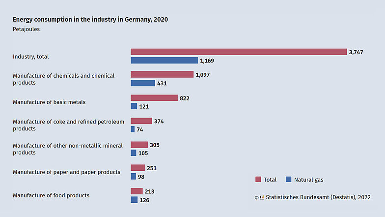 Figura 3: nei settore più disparati, il gas metano, ora come in passato, gioca un ruolo fondamentale e copre circa un terzo del fabbisogno energetico delle aziende di produzione. Fonte: Ufficio federale di statistica della Germania